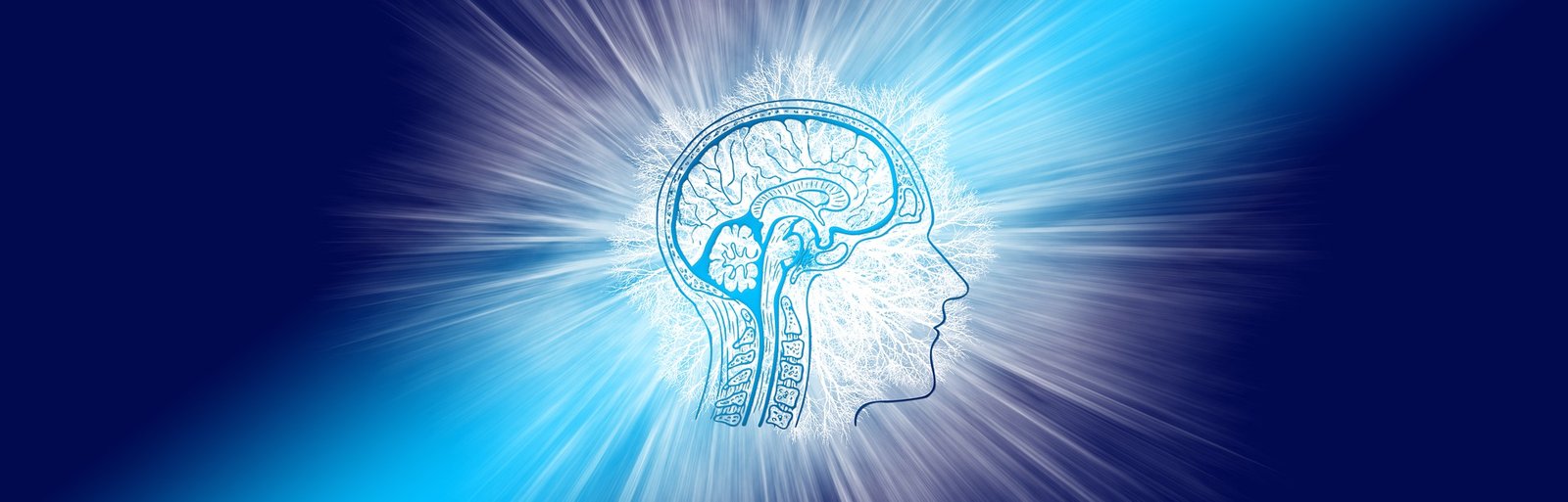 Brain